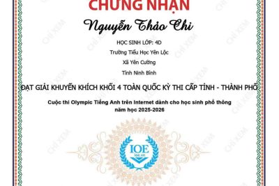 Thông báo vinh danh các em học sinh đạt kết quả cao trong kỳ thi IOE